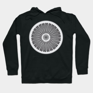 Diatom - Arachnodiscus - Artwork Hoodie